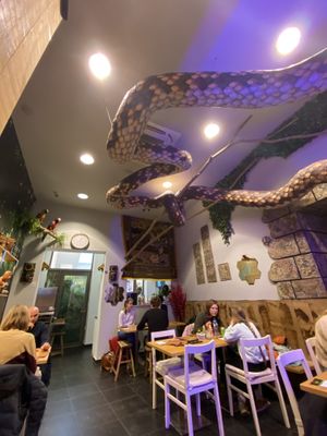 Back of restaurant at Moana Pokebowls in Bruges