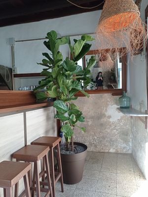  at Esquina in Lanzarote