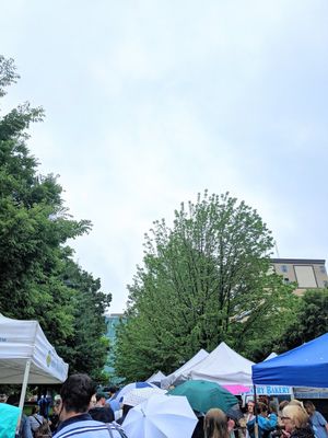 Vendors at Dane County Farmers' Market in Madison