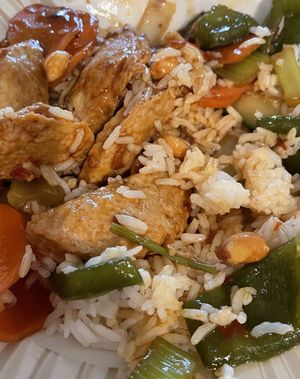 KP with vegetarian chicken at Bamboo Asian Cuisine in Ocoee