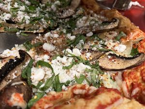 Mushroom pizzaa  at Mellow Mushroom in Estero