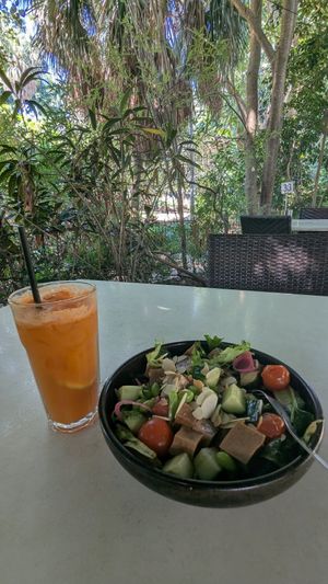Nice tofu salad with freshly squeezed juice 🥤 at Eva's Cafe in Darwin