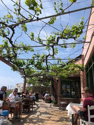  at Agora Tavern in Paphos