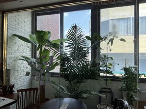   at Eat Drink Vegan in Busan