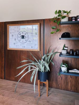 Interior merchandise shelves and menu on the wall. at Elegy Coffee in Nashville