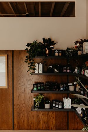  at Elegy Coffee in Nashville