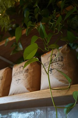  at Elegy Coffee in Nashville