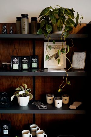  at Elegy Coffee in Nashville