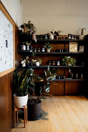  at Elegy Coffee in Nashville