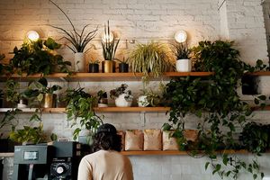  at Elegy Coffee in Nashville