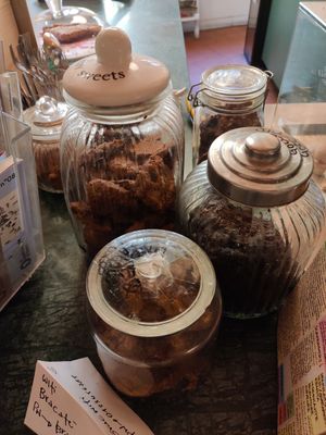 All the biscuits are vegan at Brac Libreria di Arte Contemporanea in Florence