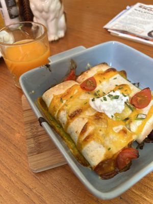   at Kattencafé Familie Snorhaar in Breda