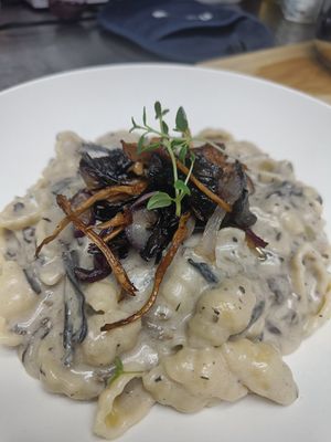 Wild forest mushroom pasta at Aurora Holidays in Utsjoki