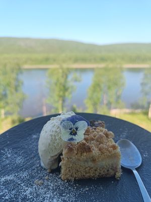 Vegan and gluten free rhubarb pie at Aurora Holidays in Utsjoki