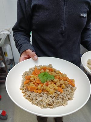 Chickpea curry, served with cooked barley at Aurora Holidays in Utsjoki