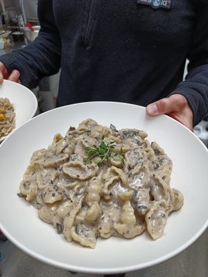 Wild forest mushroom cooked in creamy sauce at Aurora Holidays in Utsjoki