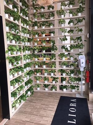 The entrance to Liora-Baltimore located in the 414 Luxury High Rise Building minutes away from the Inner Harbor & "Charm'tastic Mile".  at Liora in Baltimore