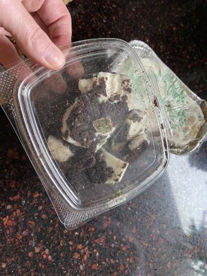 Smashed item due to poor packagingg  at WeVegan Cafe in Tampa