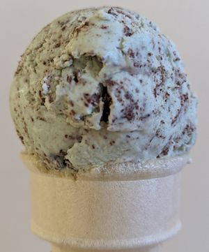 Mint Chocolate Chip at Kate's Ice Cream in Portland