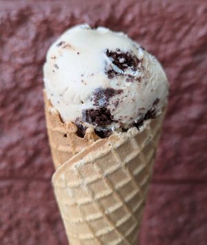 Coffee Oreo at Kate's Ice Cream in Portland