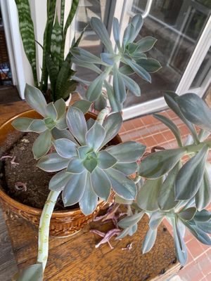   at dirt in Quakertown