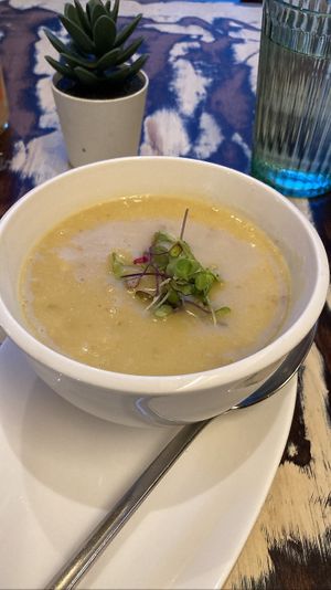 Vietnamese cauliflower soup: tasty but nothing special   at La Mujer de Verde in Mallorca