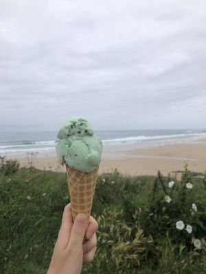   at Pink Flamingo Vintage Ice Cream Van in Newquay