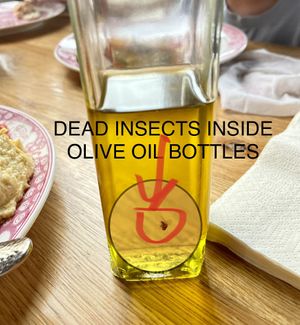 Insects inside several olive oil bottles ! at Bona'me in Hannover