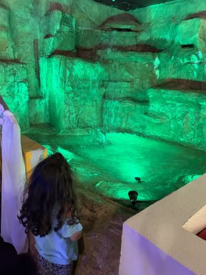  #Veganuary at Casablanca in New Castle