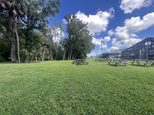 Back yard   at Wallace's at the Greenhouse in Homosassa