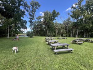   at Wallace's at the Greenhouse in Homosassa