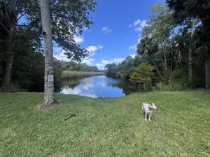   at Wallace's at the Greenhouse in Homosassa