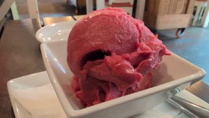Raspberry sorbet at Wallace's at the Greenhouse in Homosassa