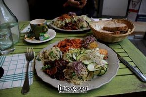 Ozfair dish of the day in March 2011. Photo by Ding Ren. at Ozfair in Brussels