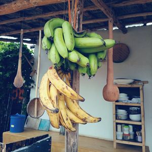  at Sativa Café Zanzibar in Zanzibar