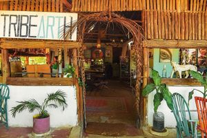 Popping in to say that we love sharing our space with y’all. Hopefully you love it as much as we do 🖤 at Tribearth  in Diani Beach