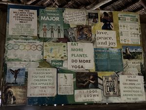   at Tribearth  in Diani Beach