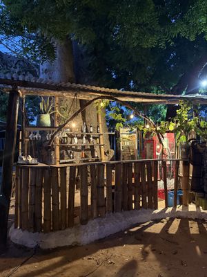 The bar  at Tribearth  in Diani Beach