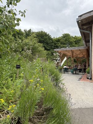   at Riverford Field Kitchen Restaurant in Buckfastleigh