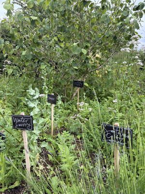   at Riverford Field Kitchen Restaurant in Buckfastleigh