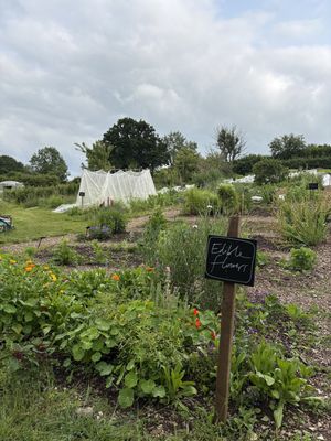   at Riverford Field Kitchen Restaurant in Buckfastleigh