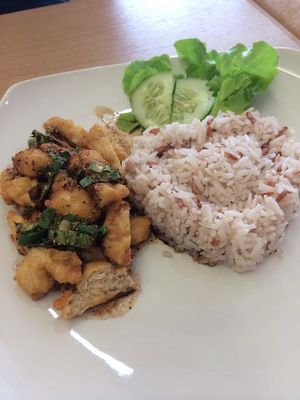 Spicy fried tofu with rice at Loving Hut - Ram-Intra 51 in Bangkok