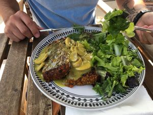 And nutroast with mushroom sauce at Inga's Veggie Heaven in Nicosia