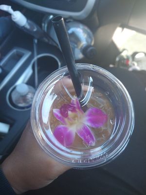 Mango Green Tea at Hue Cafe & Apothecary in Owings Mills