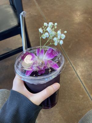 Lady Hibiscus Tea  at Hue Cafe & Apothecary in Owings Mills