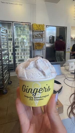   at Ginger's Divine Ice Creams in Los Angeles