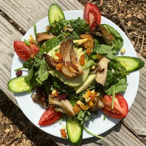 food at Whyld's Vegan Kitchen in Austin