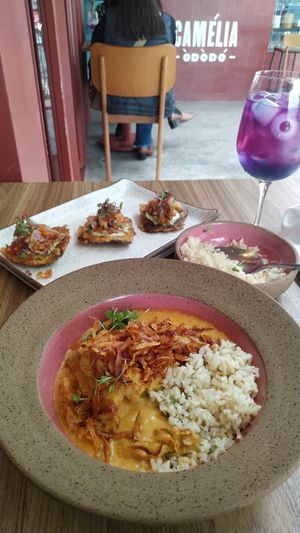 Strogonoff at Camelia Ododo in Sao Paulo