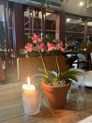 Details  at Camelia Ododo in Sao Paulo