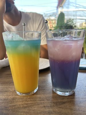   at Camelia Ododo in Sao Paulo